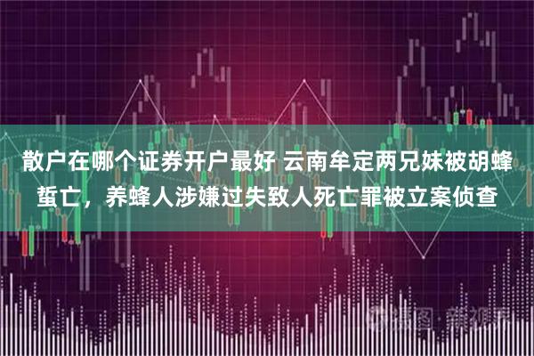 散户在哪个证券开户最好 云南牟定两兄妹被胡蜂蜇亡，养蜂人涉嫌过失致人死亡罪被立案侦查