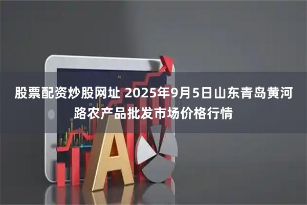 股票配资炒股网址 2025年9月5日山东青岛黄河路农产品批发市场价格行情