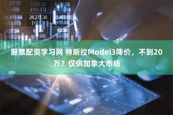 股票配资学习网 特斯拉Model3降价，不到20万？仅供加拿大市场